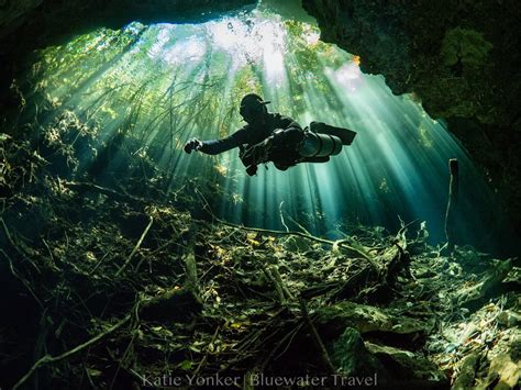 Unveiling the Underwater Wonders: Snorkeling Adventure in Mexico's Magical Cenotes